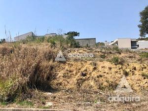 Terreno à venda 802.26M², Estrela, Ponta Grossa - PR