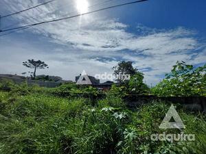 Terreno à venda 490M², Oficinas, Ponta Grossa - PR