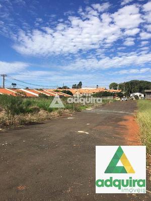 Lote / Terreno