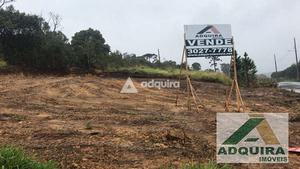 Terreno à venda 564.25M², Estrela, Ponta Grossa - PR