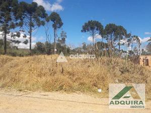 Terreno à venda 361.96M², Colônia Dona Luíza, Ponta Grossa - PR