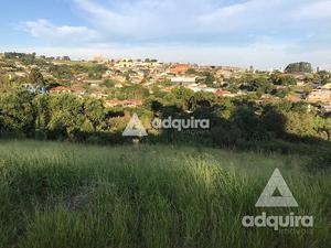 Terreno à venda 394.54M², Chapada, Ponta Grossa - PR