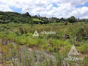 Terreno à venda 515.27M², Estrela, Ponta Grossa - PR