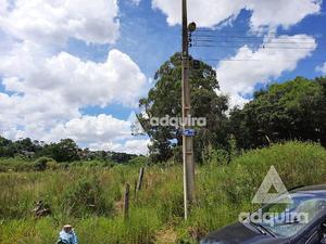 Lote / Terreno