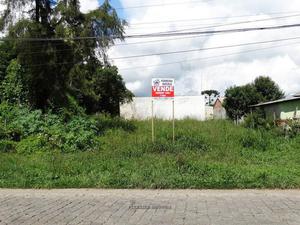 Terreno à venda, 714 m² por R$ 495.000,00 - Guatupê - São José dos Pinhais/PR