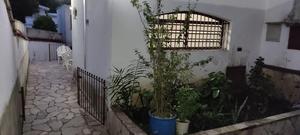Casa com 1 dormitório à venda, 1 m² por R$ 530.000,00 - Vila Pedra Branca - São Paulo/SP