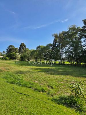 Lote / Terreno