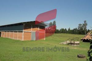 Lote / Terreno